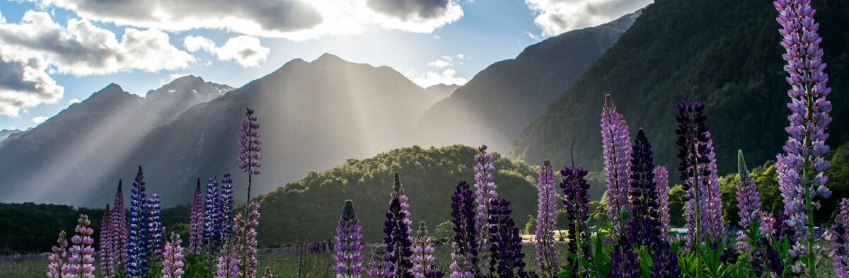 Southern Alps, New Zealand